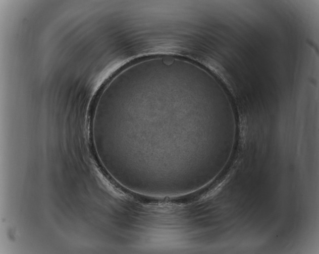 X0000103321077200809121142