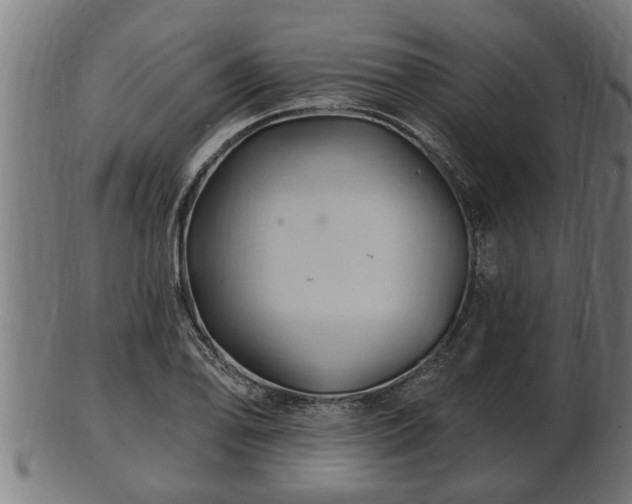 X0000103321078200809121142