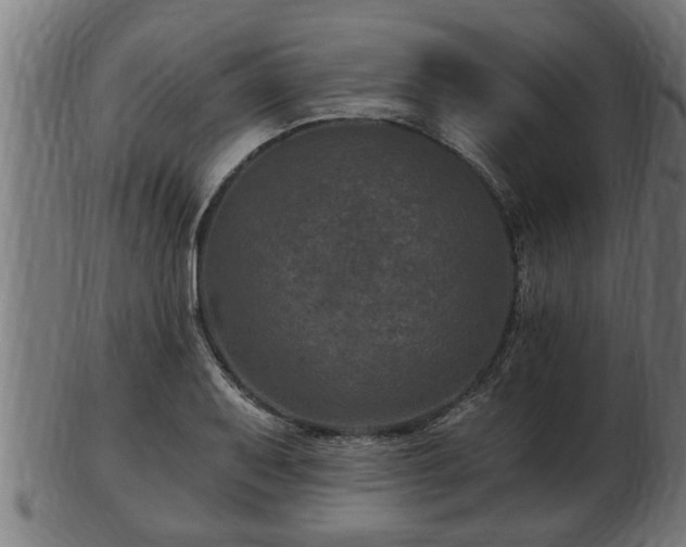 X0000103321079200809121142