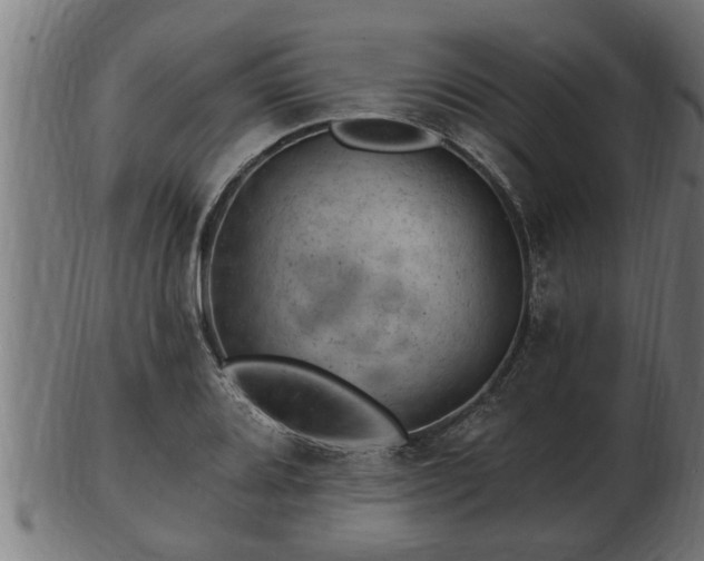 X0000103321080200809121142