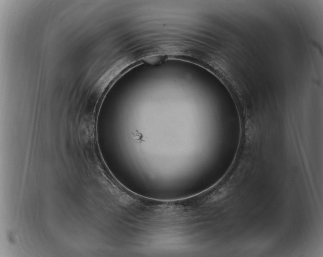 X0000103321081200809121142