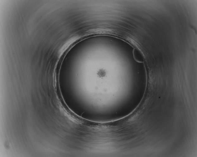 X0000103321082200809121142