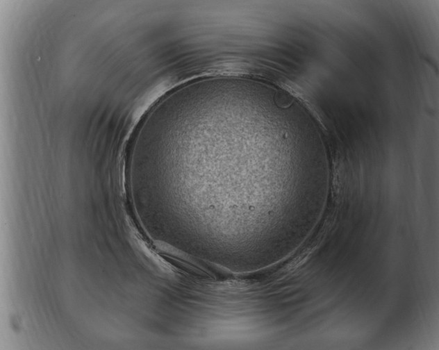 X0000103321083200809121142