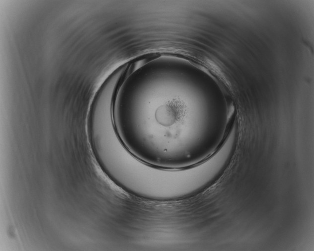 X0000103321084200809121142