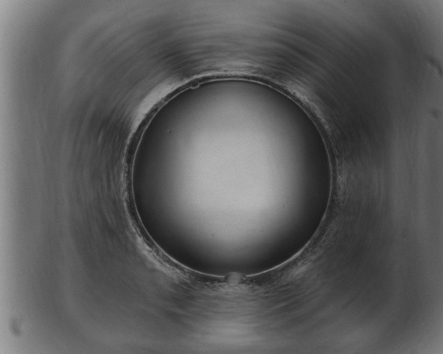 X0000103321085200809121142