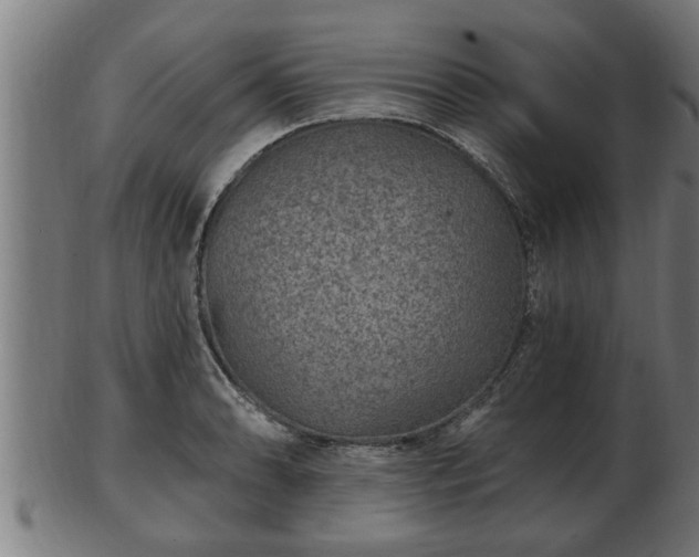 X0000103321086200809121142