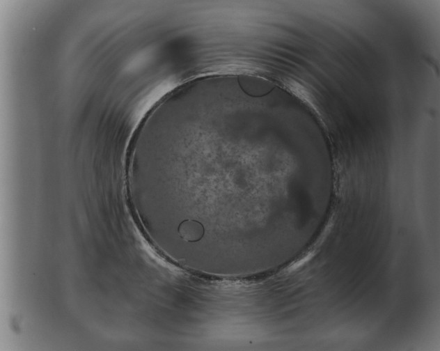 X0000103321087200809121142