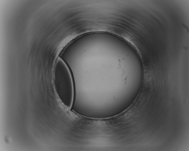 X0000103321088200809121142