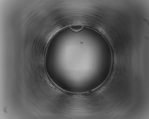 X0000103321089200809121142