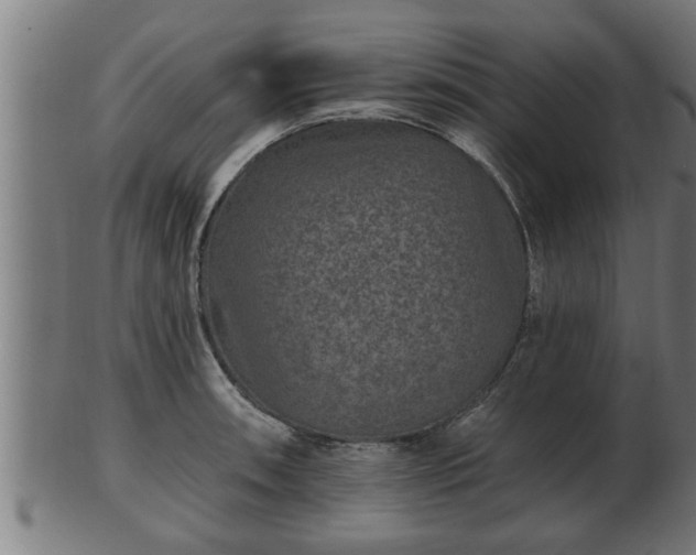 X0000103321090200809121142