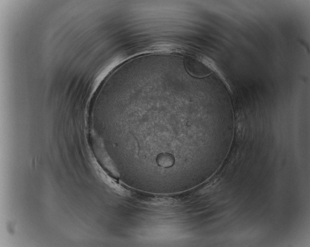 X0000103321091200809121142