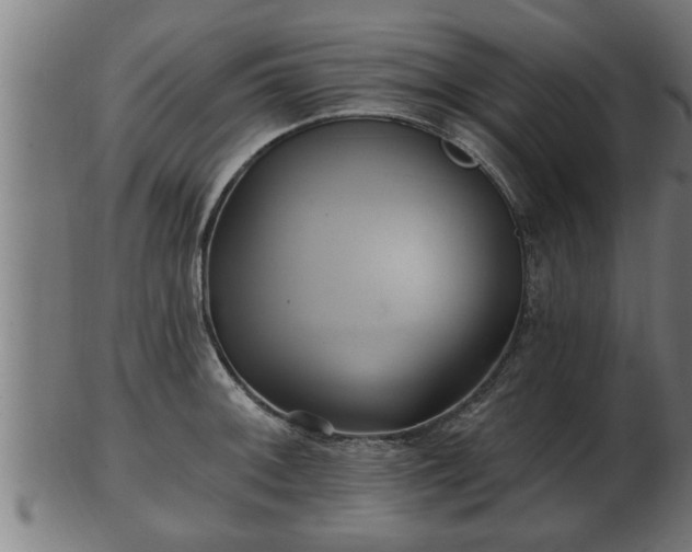 X0000103321092200809121142