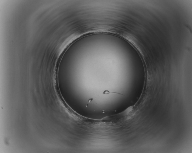 X0000103321093200809121142