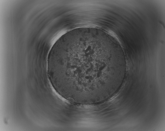 X0000103321095200809121142