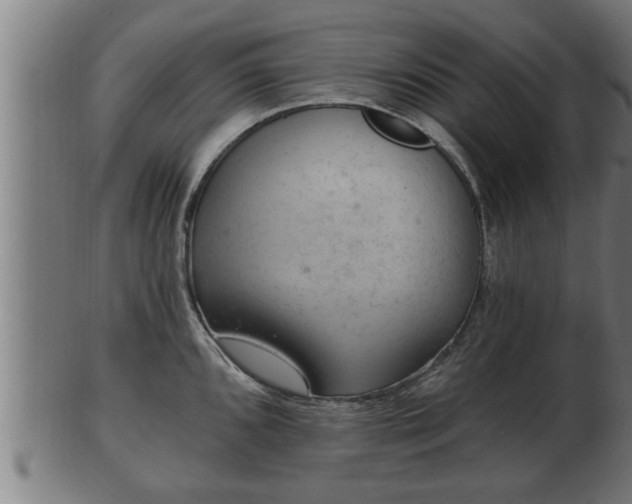 X0000103321096200809121142