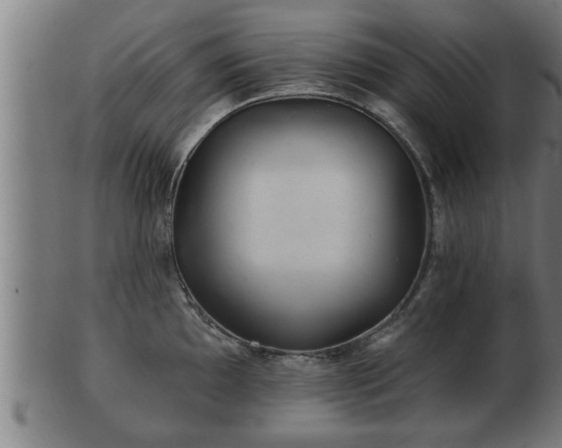 X0000103321097200809121142