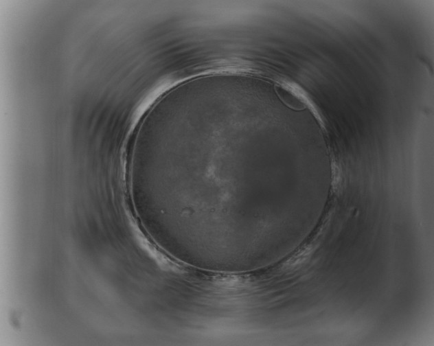 X0000103321099200809121142