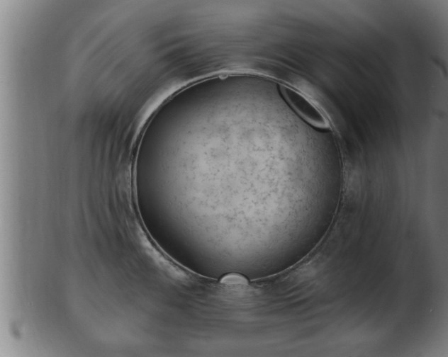 X0000103321100200809121142