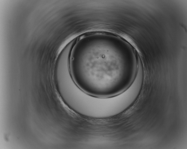 X0000103321101200809121142