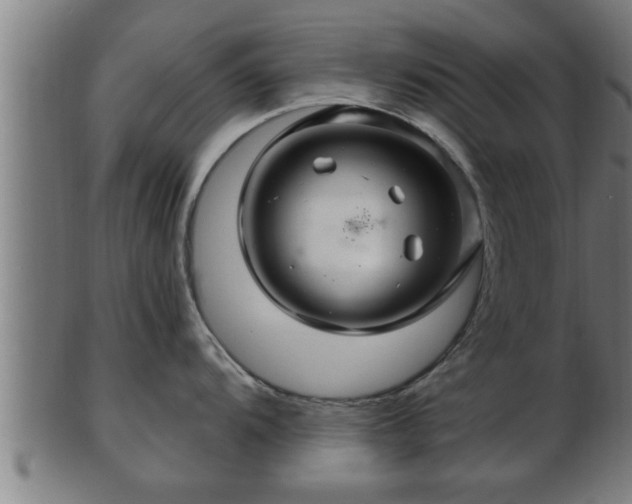 X0000103321104200809121142