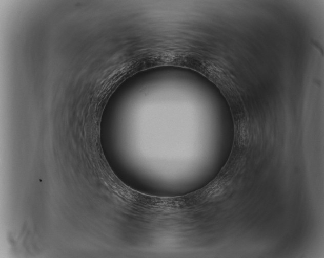 X0000103321105200809121141