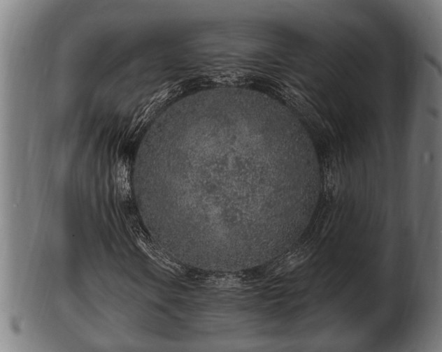 X0000103321106200809121141