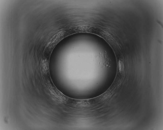 X0000103321107200809121141