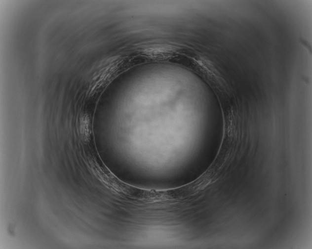 X0000103321108200809121141