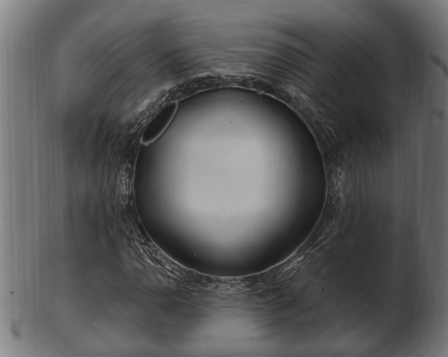 X0000103321110200809121141