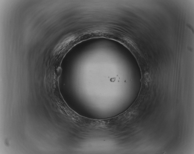 X0000103321111200809121141