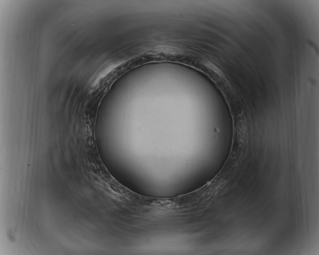 X0000103321112200809121141