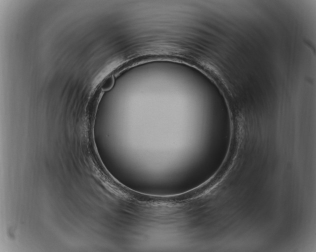 X0000103321114200809121141