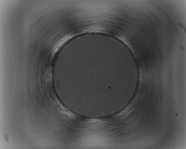 X0000103321115200809121141