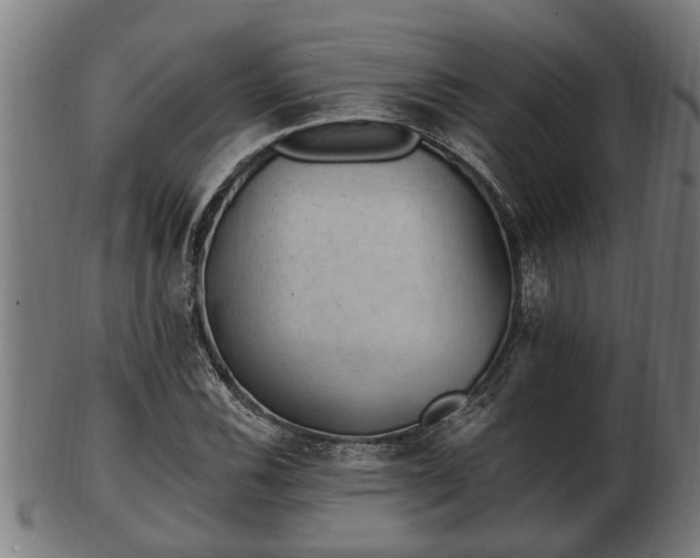 X0000103321116200809121141