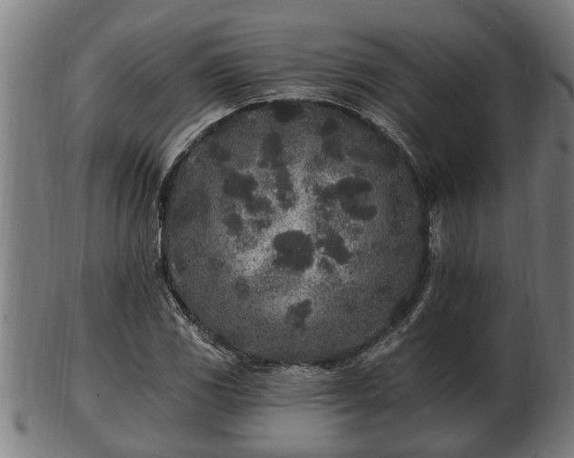 X0000103321117200809121141