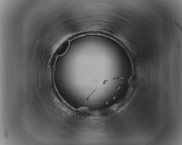 X0000103321118200809121141