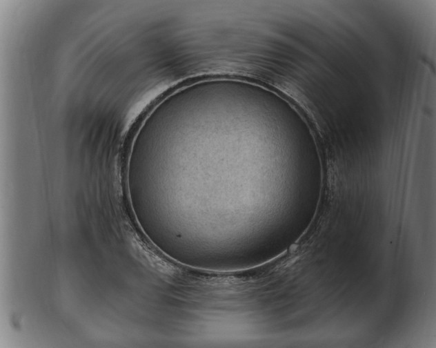 X0000103321120200809121141