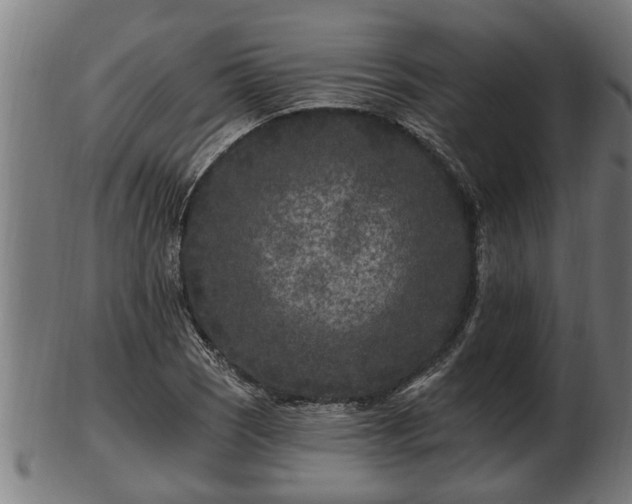 X0000103321121200809121141