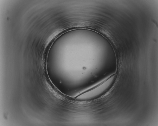 X0000103321122200809121141