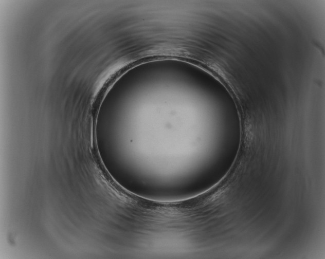 X0000103321123200809121141