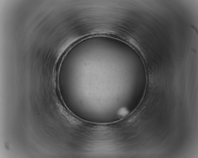 X0000103321124200809121141