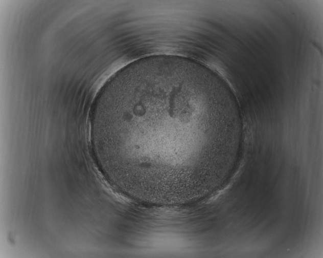 X0000103321125200809121141