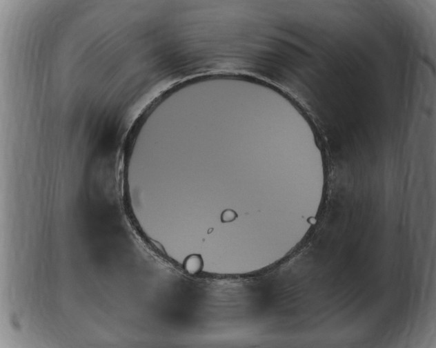 X0000103321126200809121141