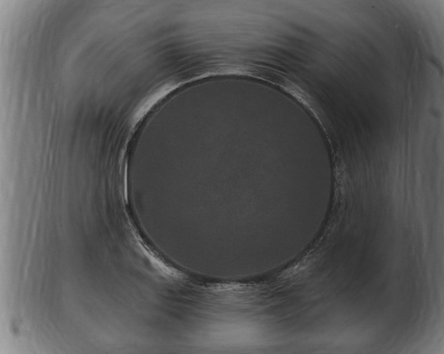 X0000103321127200809121141