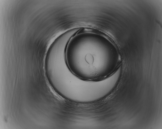 X0000103321128200809121142