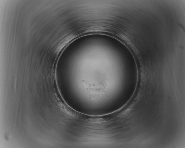 X0000103321129200809121142