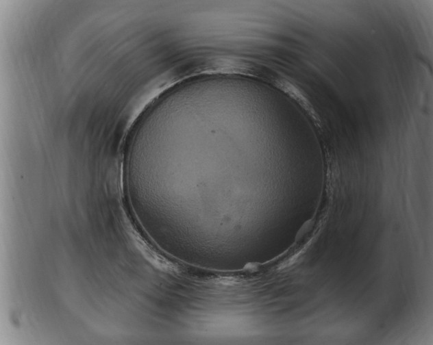 X0000103321130200809121142