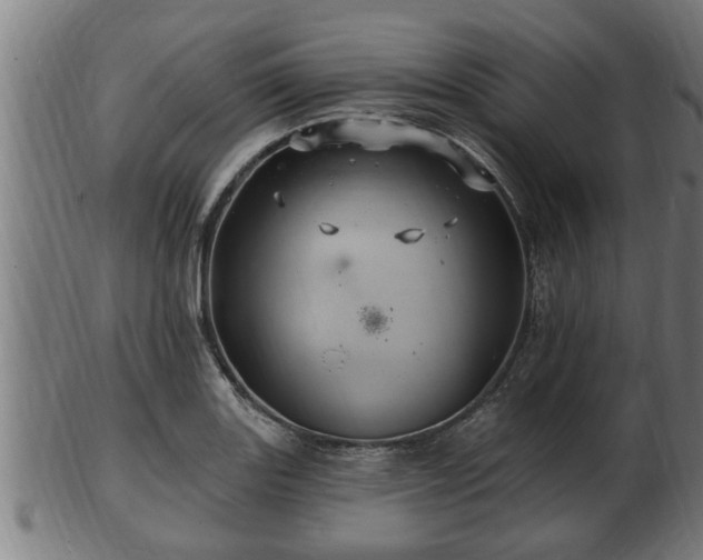 X0000103321131200809121142