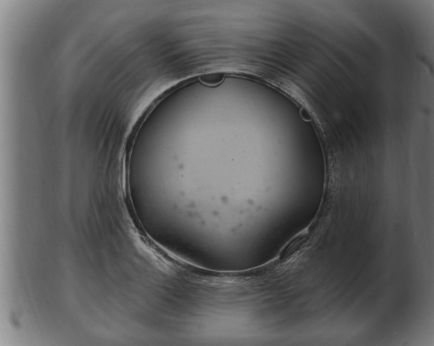 X0000103321132200809121142