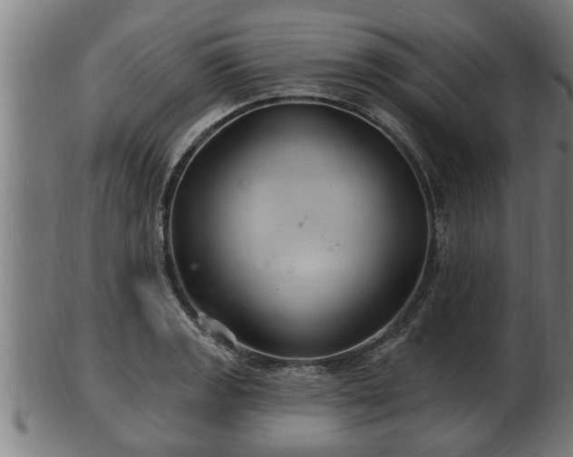 X0000103321133200809121142